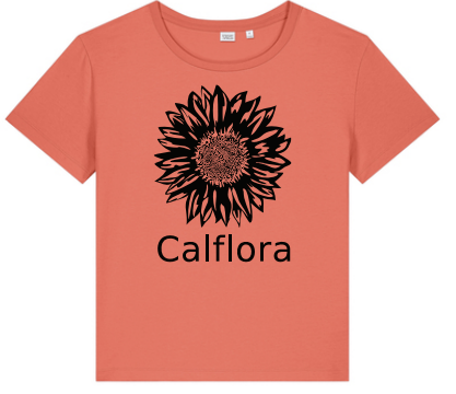 Short sleeve t-shirt (fiesta, women's cut)