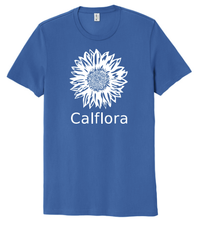 Short sleeve t-shirt (blue)