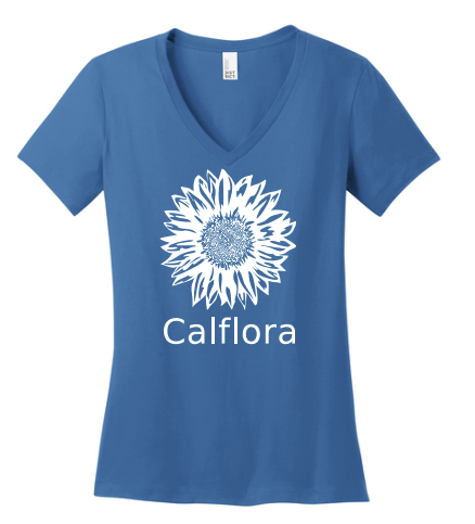 Short sleeve t-shirt (blue, V-neck, women's cut)