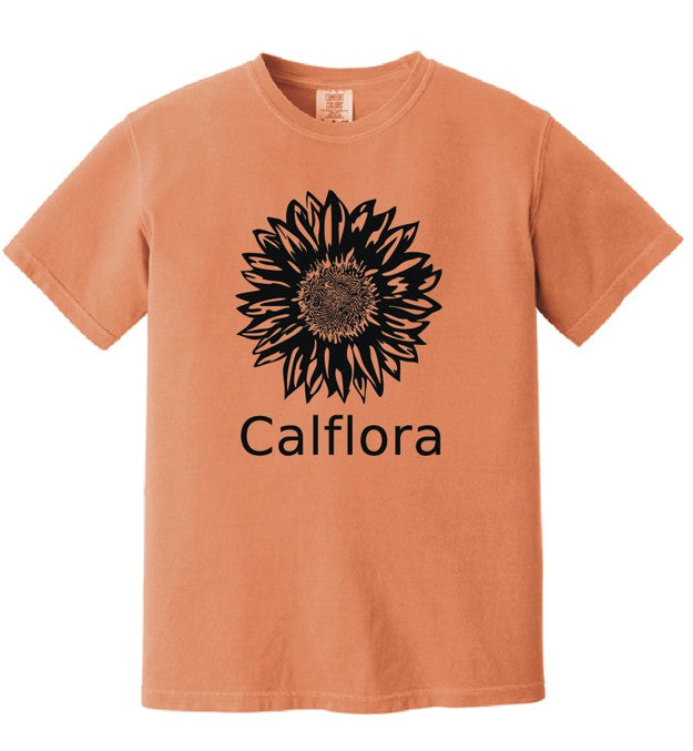 Short-sleeve t-shirt (burnt orange)