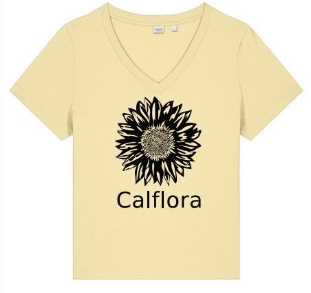 Short sleeve t-shirt (butter, V-neck, women's cut)