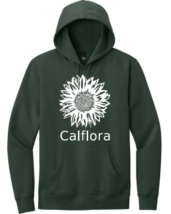 Hoodie Pullover (forest green)