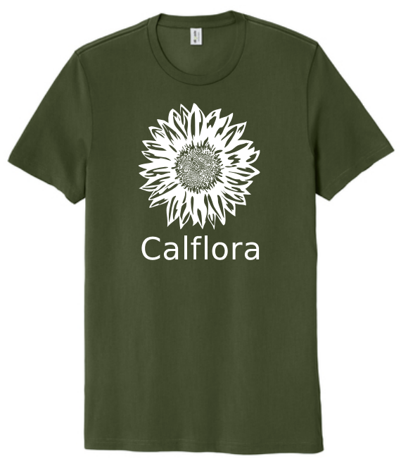 Short sleeve t-shirt (herb green)