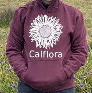 Hoodie Pullover (plum)